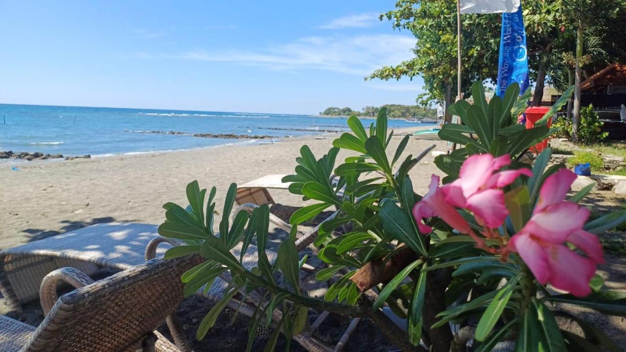 The Beach Bungalows & Turtle Sanctuary ペムテラン エクステリア 写真